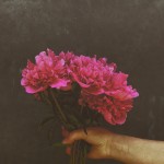 peonies against a chalkboard wall