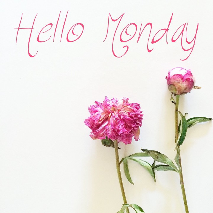 hello monday